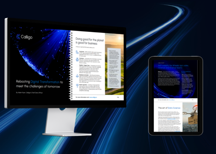 Rebooting digital transformation ebook