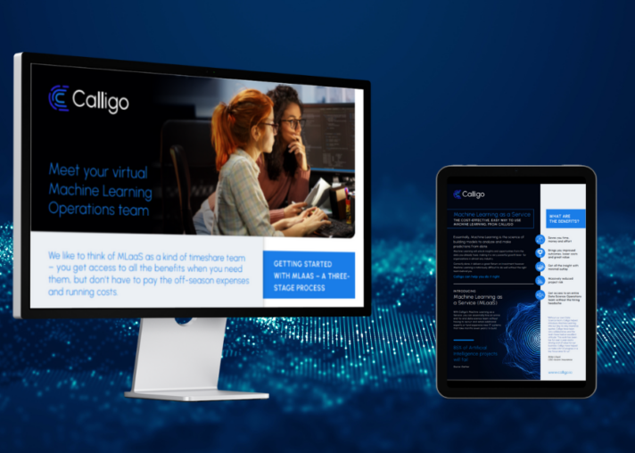 Machine Learning as a Service factsheet