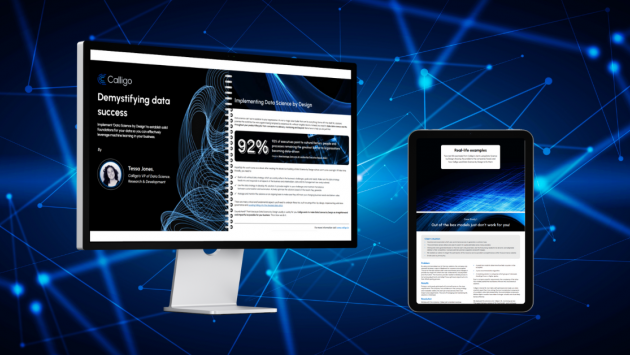 Demystifying Data Success | eBook