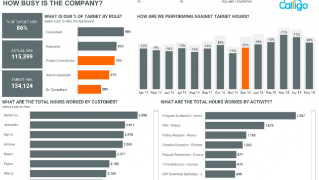 Professional Services Utilization