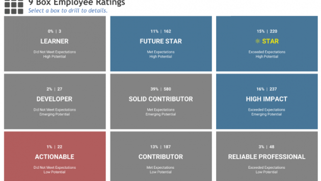 ‘9 Box’ Employee Ratings