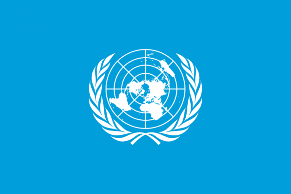 United Nations Case Study